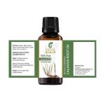 Pure Calamus Root Essential Oil - 0.33 FL.OZ