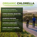 Organic Chlorella Powder for Energy and Detox
