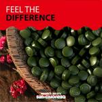 Sun Chlorella A - 300 Tablets for Wellness