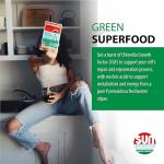 Sun Chlorella A - 300 Tablets for Wellness