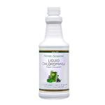 Natural Spearmint Liquid Chlorophyll - 476 ml