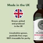 High Strength Liquid Chlorophyll Drops - 6000mg