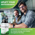 Chlorophyll Capsules 600 mg for Energy & Skin Health