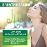 Mullein Drops for Lung Support - 2 Pack