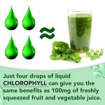 Liquid Chlorophyll Drops - Natural Detox & Energy Boost