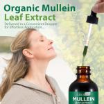Mullein Drops for Lung Support - 2 Pack
