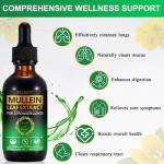 Mullein Leaf Drops for Lung Health 60ML