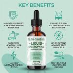 High Strength Liquid Chlorophyll Drops – 6000mg