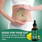 Mullein Drops for Lung and Respiratory Health