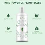 Mint Liquid Chlorophyll Drops for Health & Detox