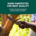 Cinnamon Powder 200g – Non-GMO & Raw