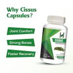 Cissus Capsules for Bone Health - 900mg, 120 Vegans