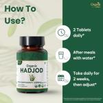 Organic Hadjod Cissus 120 Tablets - USDA Certified