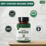 Organic Hadjod Cissus 120 Tablets - USDA Certified
