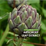 Organic Artichoke Extract 7500mg - Vegan Capsules