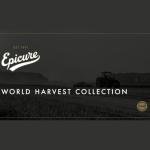 Epicure Artichoke Hearts in Salted Water, 390g