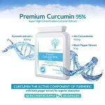 Curcumin 95% with Black Pepper Extract, 500mg