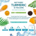 Curcumin 95% with Black Pepper Extract, 500mg