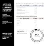 High-Potency Turmeric Curcumin with Black Pepper 60 Caps