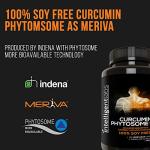 Intelligent Labs Meriva Curcumin for Superior Absorption