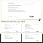 Swanson Dong Quai Root 530mg, 100 Capsules