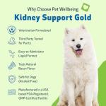 Kidney Support Gold for Dogs & Cats - 4 oz