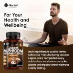 Mushroom Complex: Lion's Mane & Chaga Blend