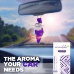 Aromahpure Organic Lavender Camphor Cube - Freshener