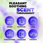 Aromahpure Organic Lavender Camphor Cube - Freshener