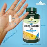 Evening Primrose Oil 1000mg - Omega-6 Support