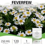 Bodygenix Feverfew 250mg for Migraine Relief