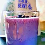 Wild Blueberry Powder for Smoothies and Bowls