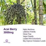 Acai Berry 3000mg Vegan Superfood Tablets (180)