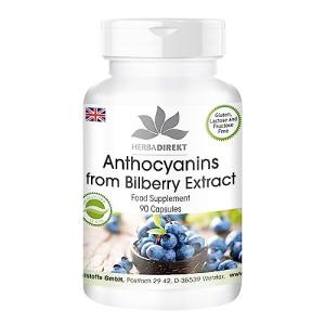 Vegan Blueberry Extract Capsules, 500mg, 90 Count