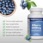 Bilberry Plus Extract 6,000mg with B2 - 90 Tablets