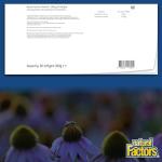 Super Strength Blueberry Extract 500mg, 90 Softgels