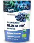 Organic Wild Blueberry Powder from Nordic Forests