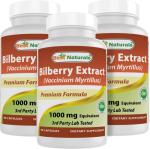 Bilberry Extract 1000mg for Healthy Vision 90 Caps