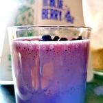 Wild Blueberry Powder 500g - Smoothie Superfood