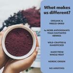 Organic Wild Blueberry Powder from Nordic Forests