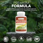 Bilberry Extract 1000mg for Healthy Vision