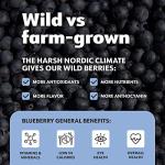 Organic Wild Blueberry Powder from Nordic Forests