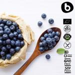 Organic Wild Blueberry Powder - Antioxidant Superfood