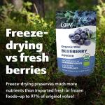 Organic Wild Blueberry Powder from Nordic Forests