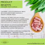 Cranberry Capsules with Bilberry & Elderberry - 90 Vegan