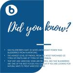 Organic Wild Blueberry Powder - Antioxidant Superfood