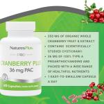 Nature's Plus Cranberry Plus - High Strength Supplement