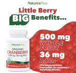 Nature's Plus Organic Cranberry Capsules - 60 Count