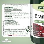 Cranberry 200mg Tablets for Urinary Health