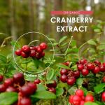 Organic Cranberry Extract 52,500mg - 90 Vegan Capsules